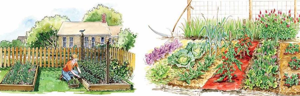 garden design overview planning