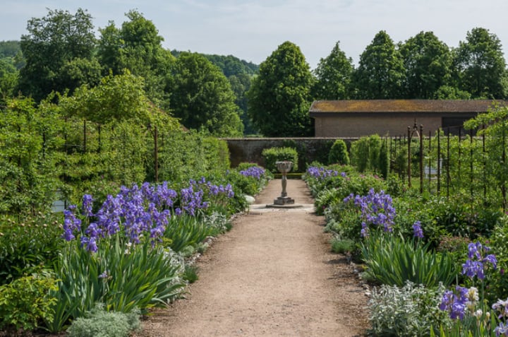 hyacinth path