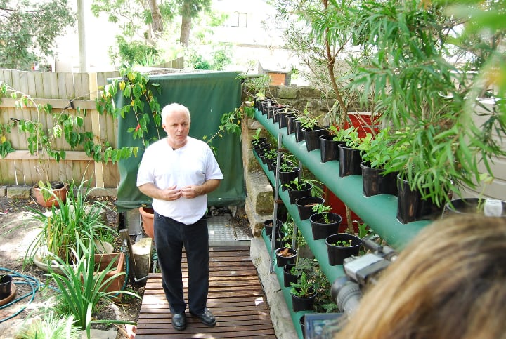 hydroponic pvc pipes vertical garden