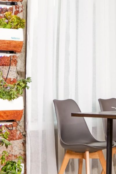 indoor vertical garden