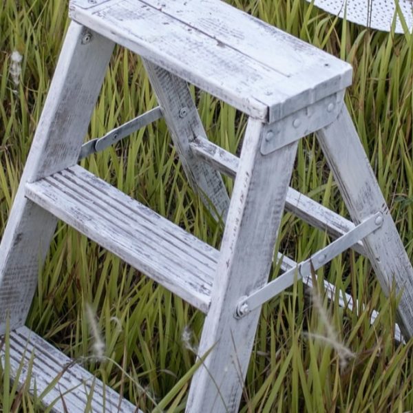 mini step ladder in the garden