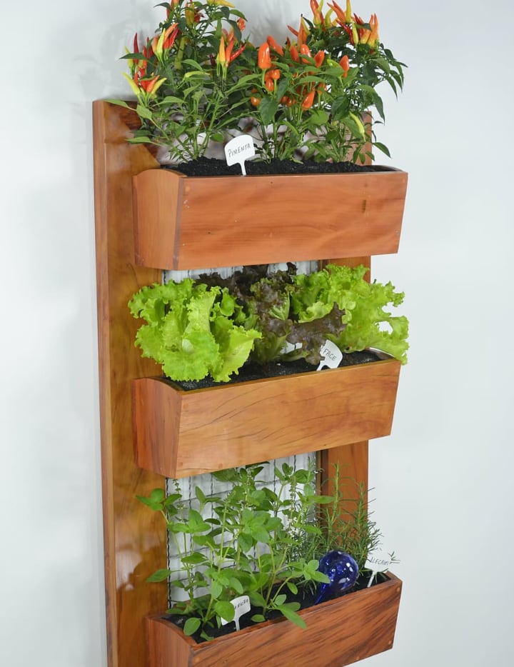 mini vertical garden