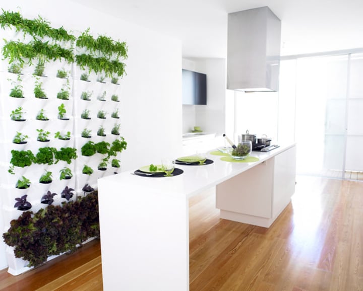 minimalist indoor wall vertical garden