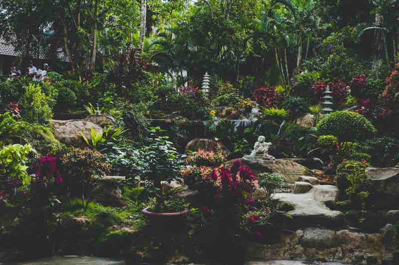 Fotos de plantas artificiales y jardines de rocas.