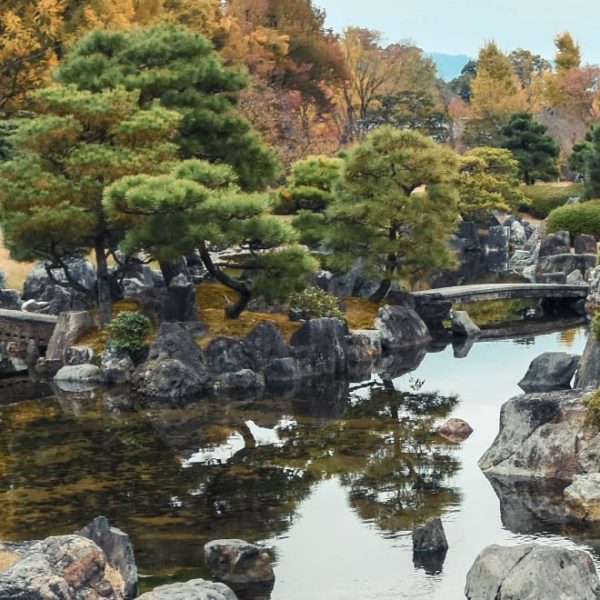 relaxing rock garden pond