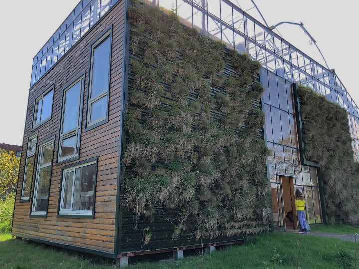 tiny house outdoor full wall vertical garden