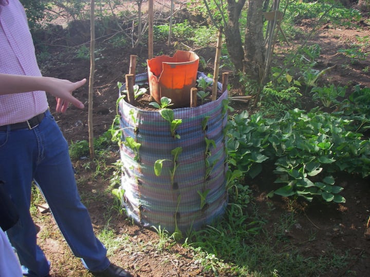 vertical bokchoy garden