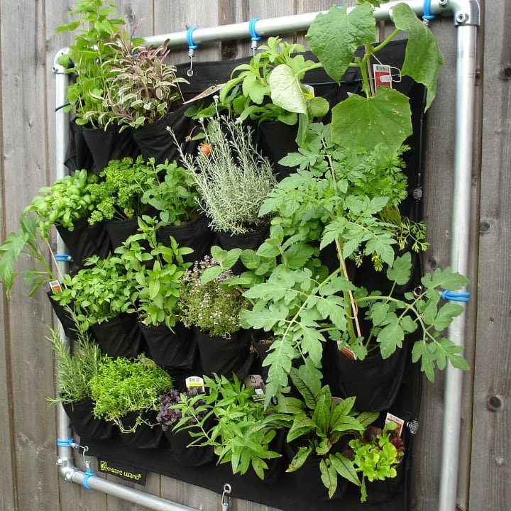 vertical garden is suitable for small spaces