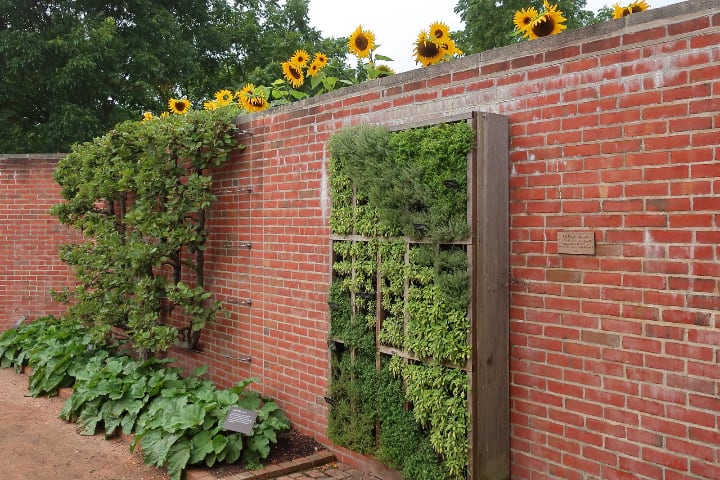 wooden vertical garden