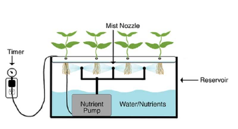 aeroponics-how-it-works