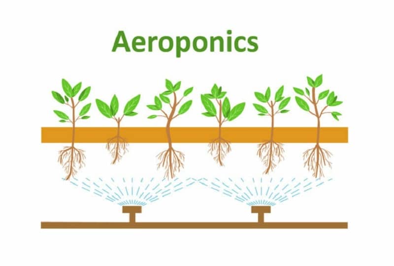 aeroponic-system