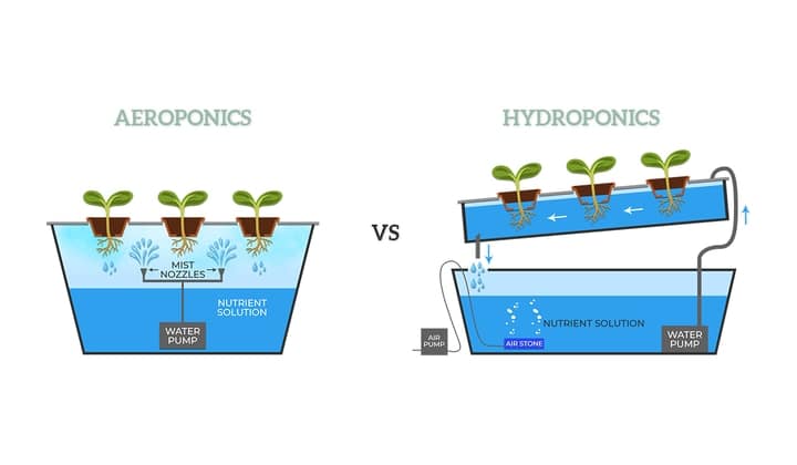 aeroponics versus hydroponics diagram