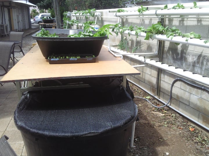 aquaponics equipment