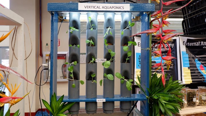 aquaponics need a lot of electricity