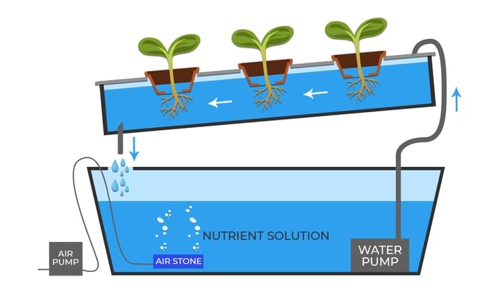 aquaponics ntf nutrient film technique system