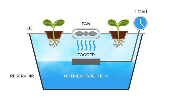 fogoponics system diagram