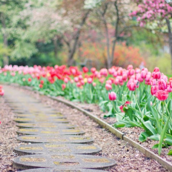 garden edging path