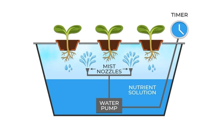 how aeroponics works