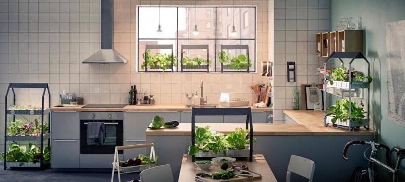 indoor hydropnic garden at home examples