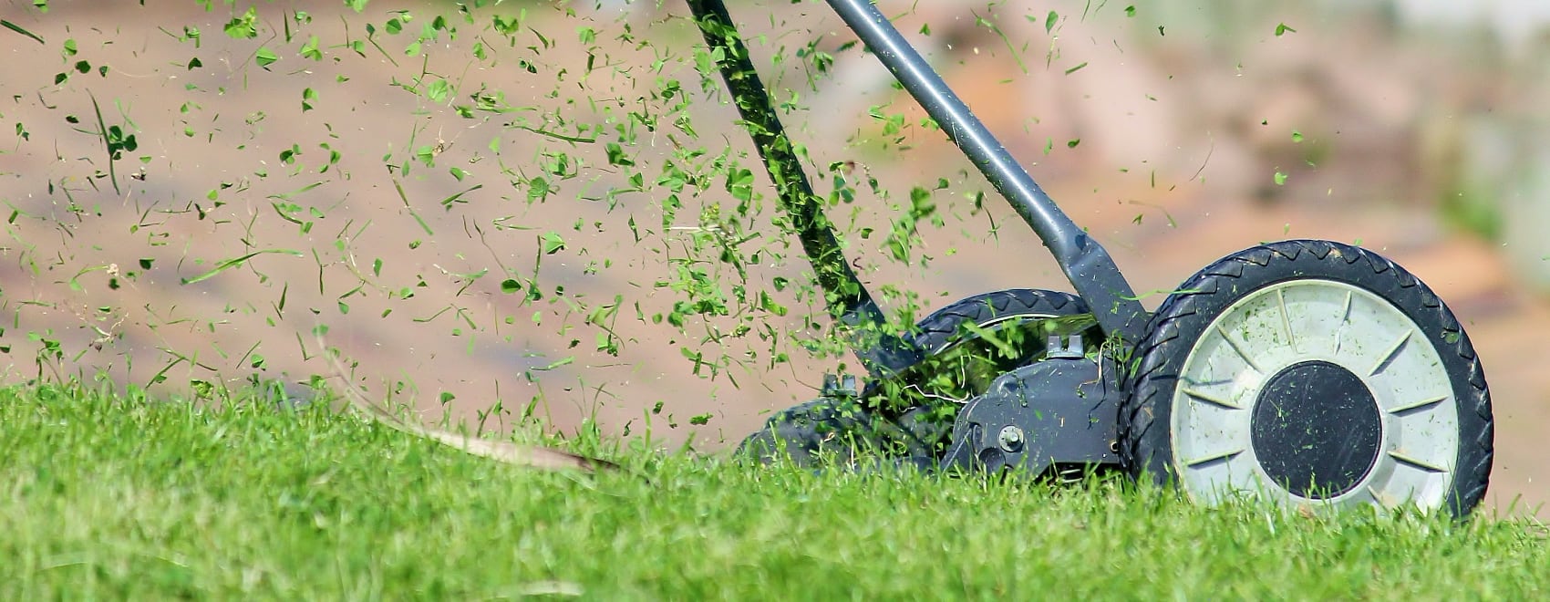 11 Best Lawn Aerators with Lawn Aeration Explained