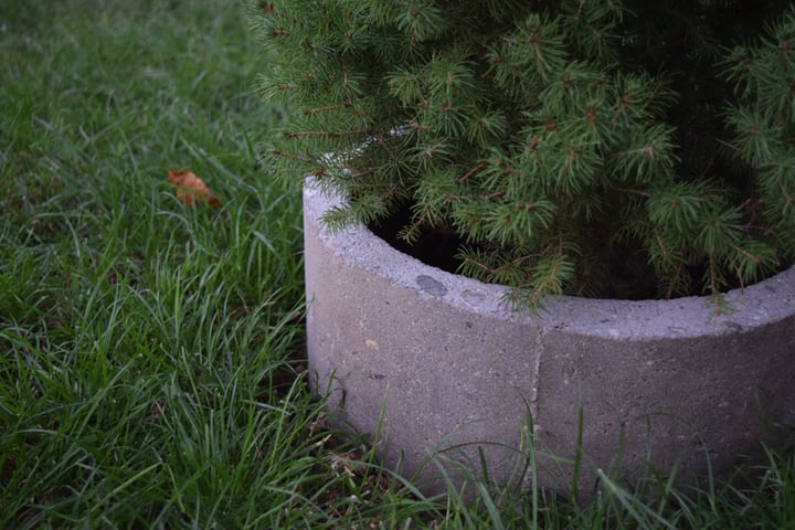 lawn edging concrete