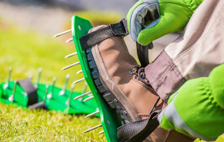 spiked aerator shoes