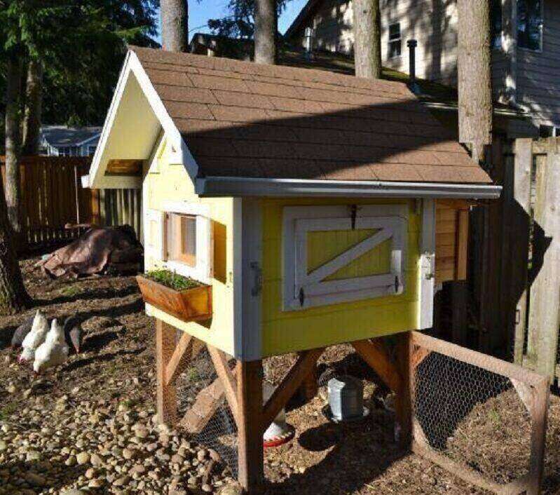 DIY chicken coop