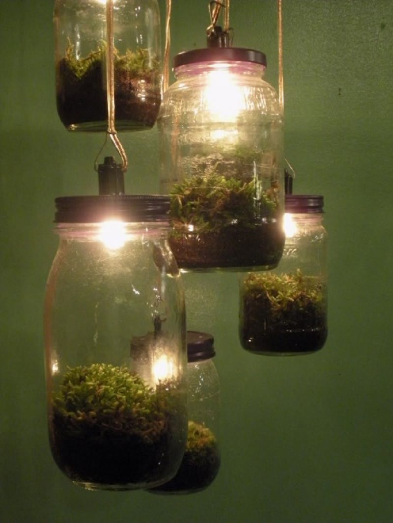 DIY jar lamp terrarium 1