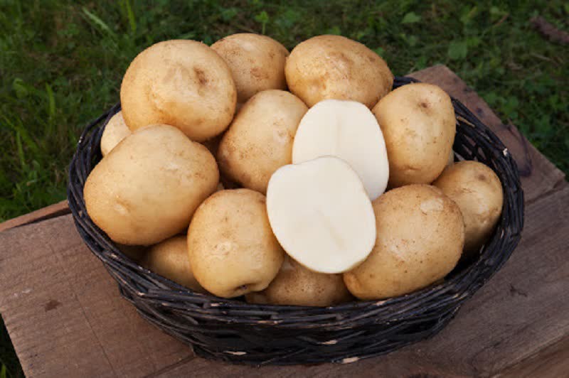 Katahdin potatoes