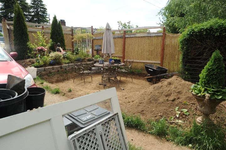 backyard in progress