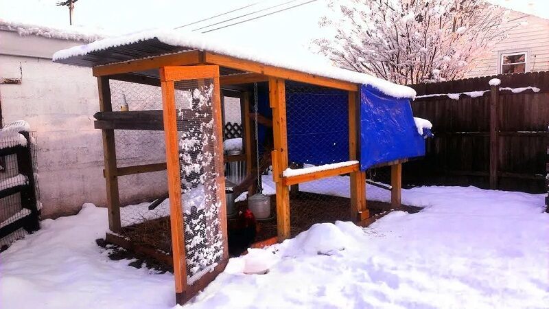 basic DIY chicken coop