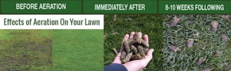 before vs after lawn aeration