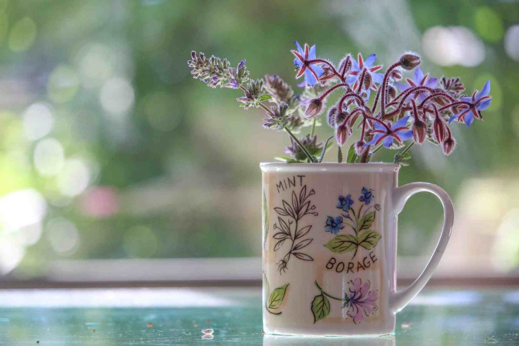 borage