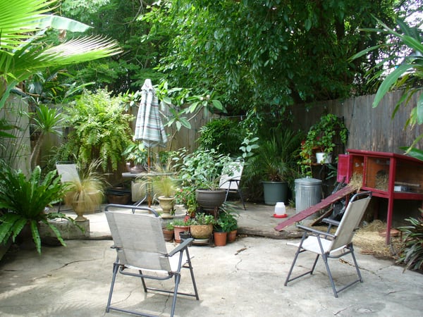 budget diy landscape