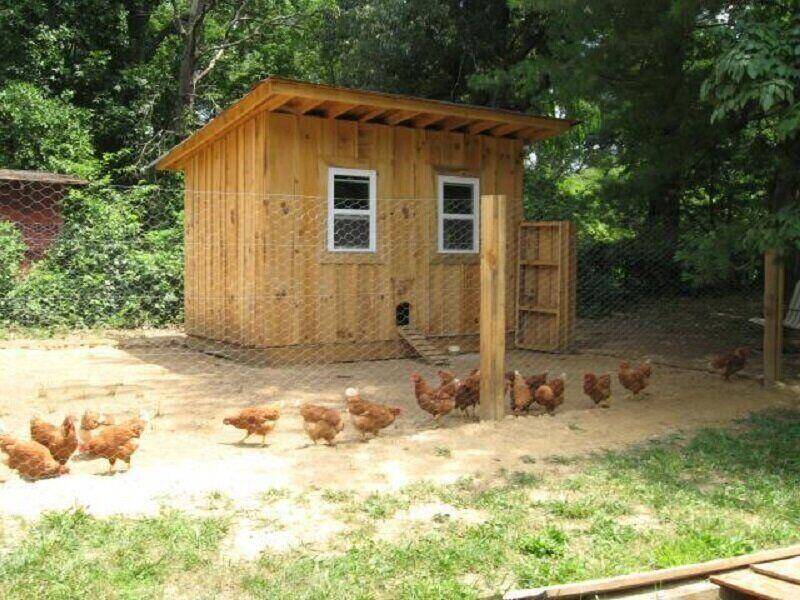 cabin style coop