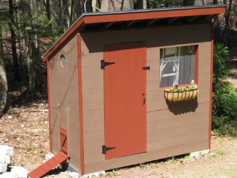 chicken coop maine