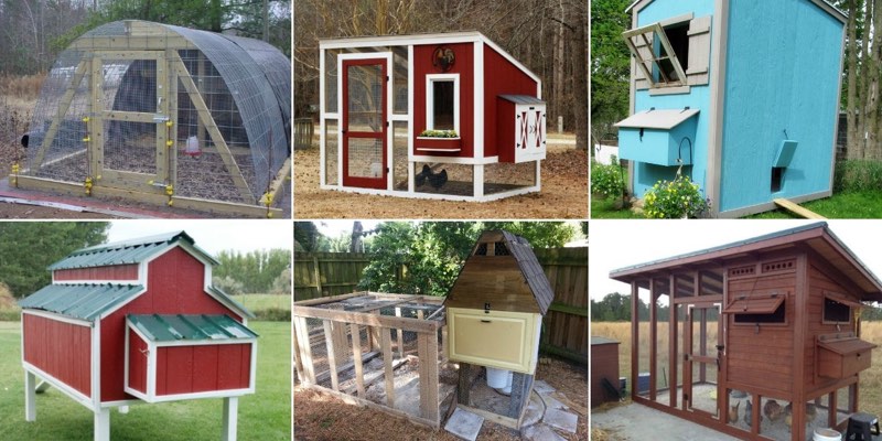 chicken coop plans ideas diy