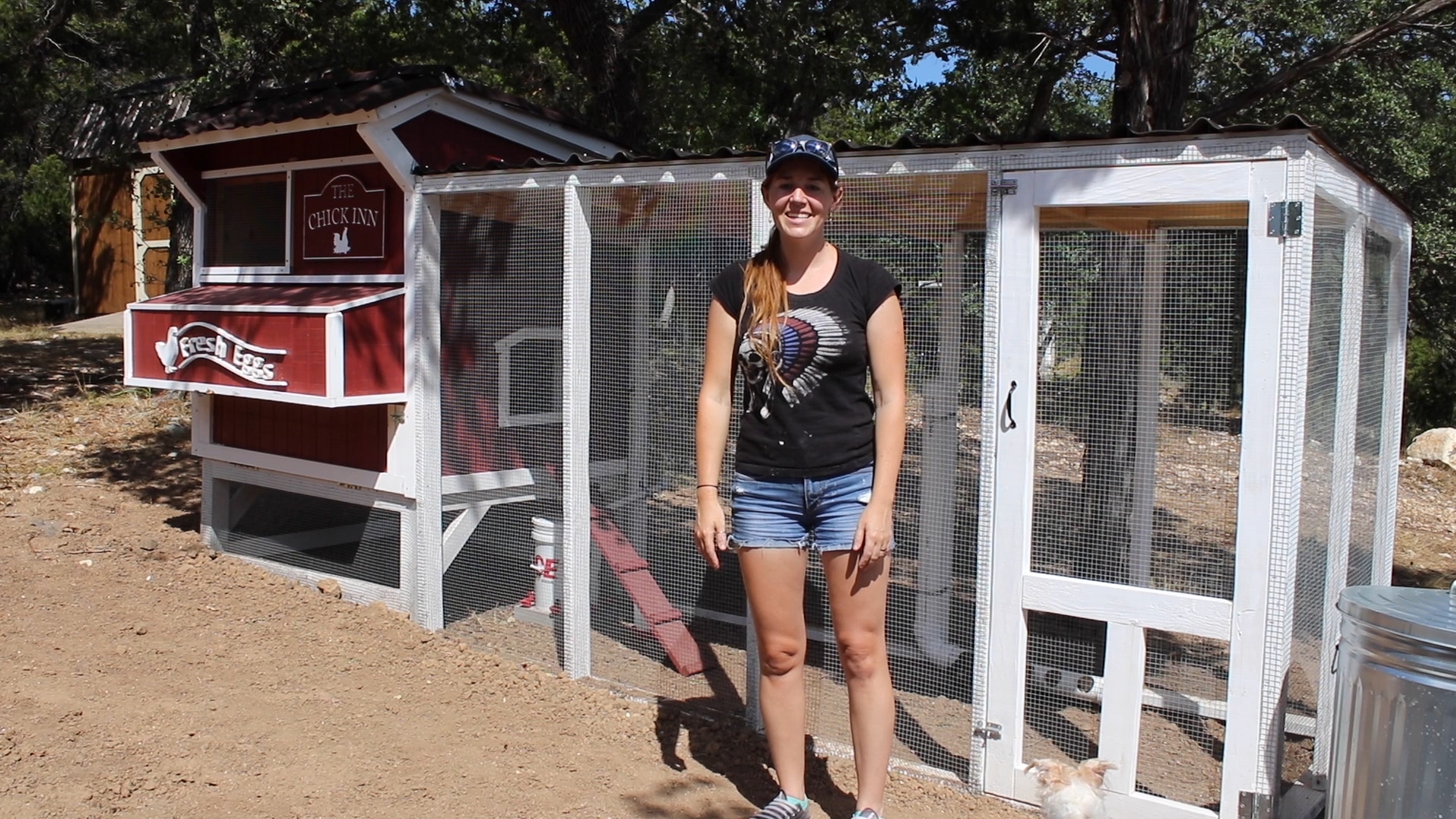 chicken coop with run