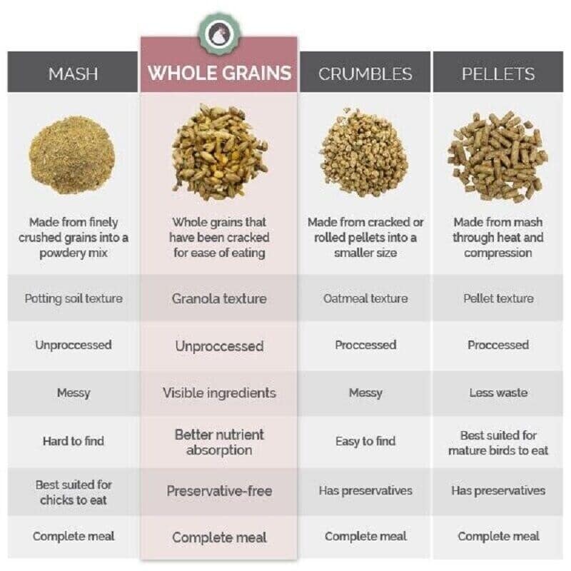 chicken feed types