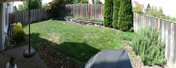 considering the landscaping space