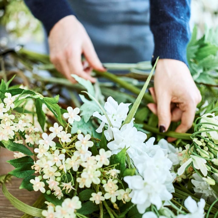 delphinium care