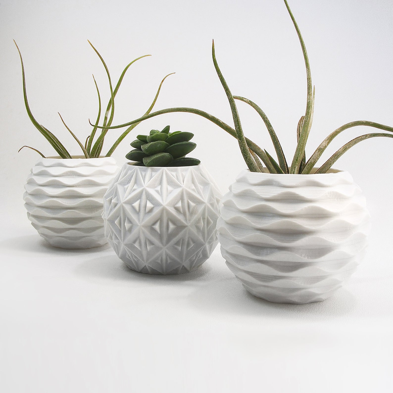 feng sui plant pot japanese