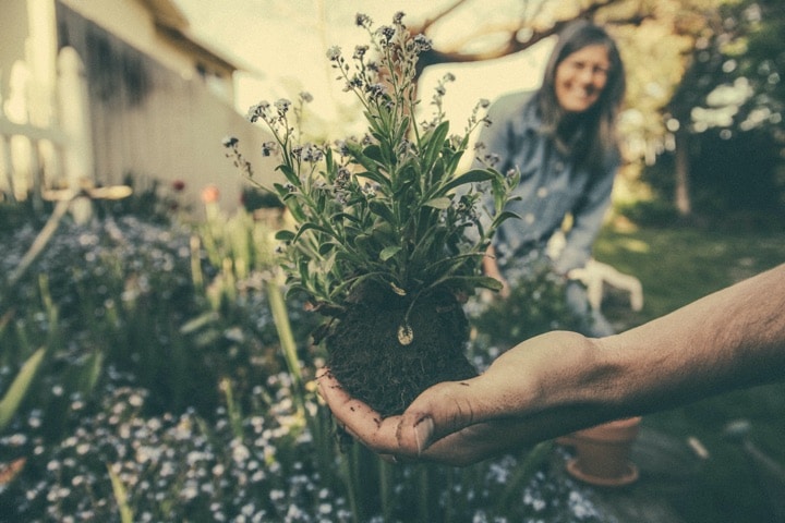 gardening benefits health