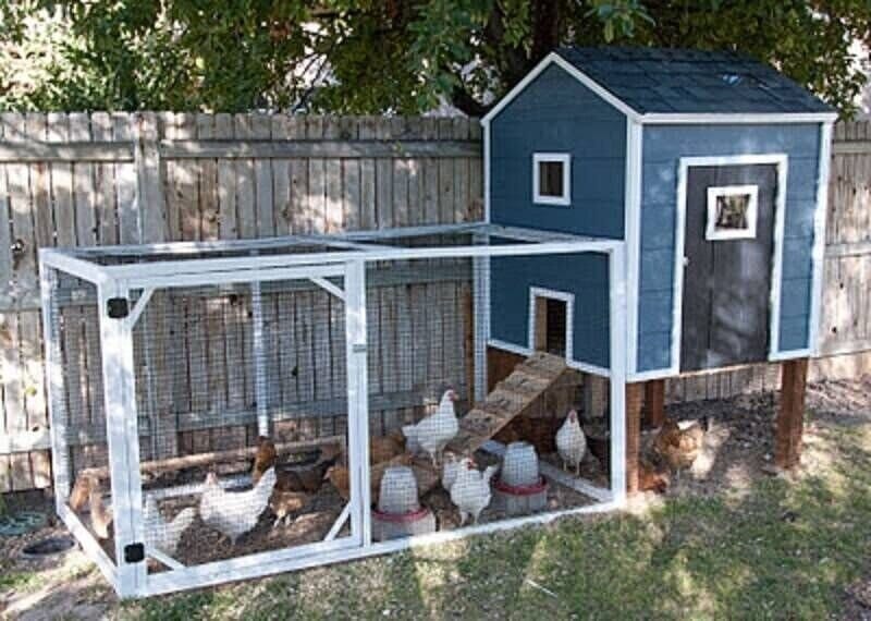 homemade chicken coop