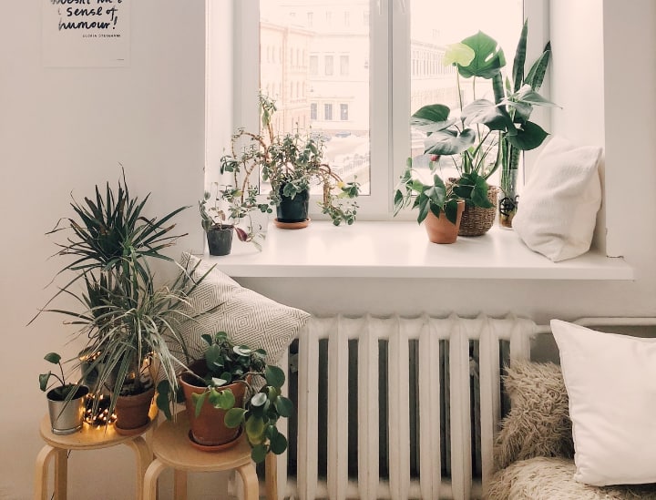 indoor bedroom gardening