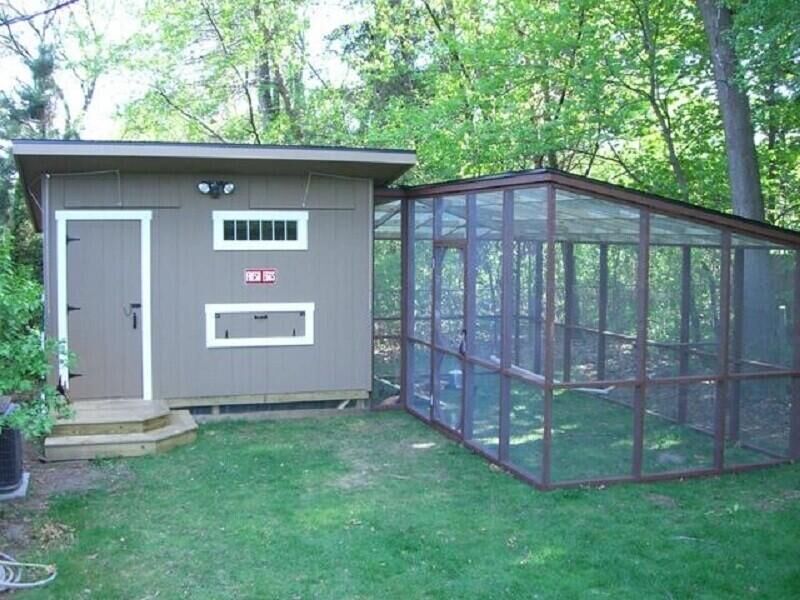 large chicken coop