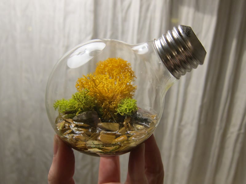 lightbulb terrarium idea