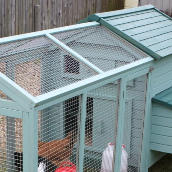 mini chicken coop