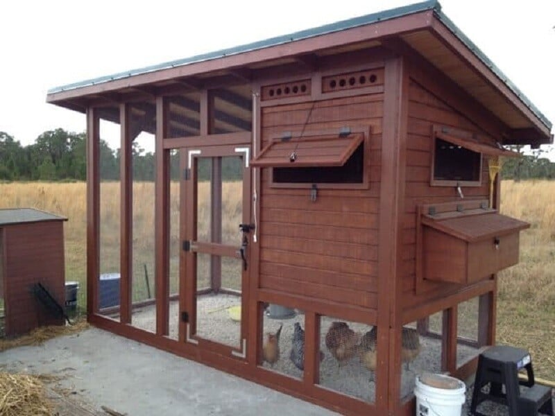 palace chicken coop