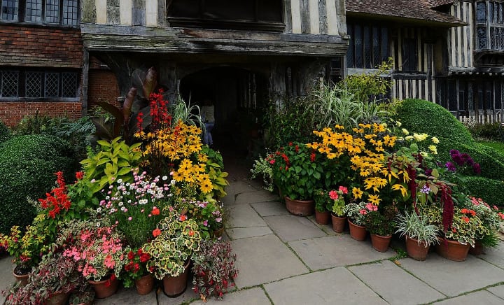 potted garden